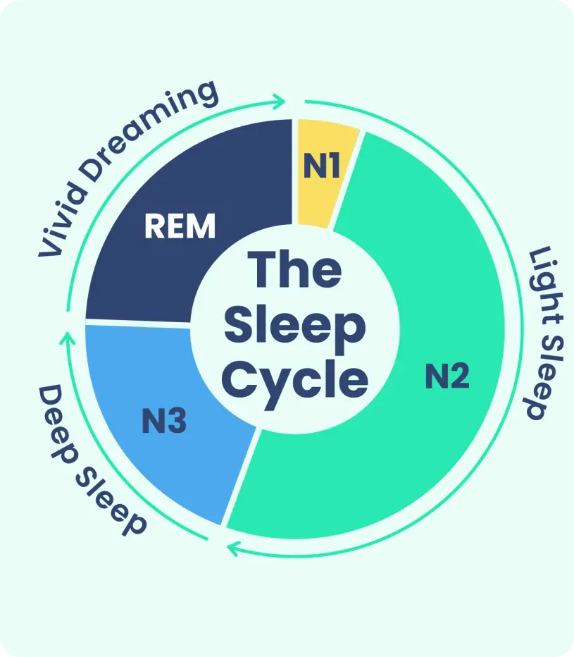 Sleep cycle